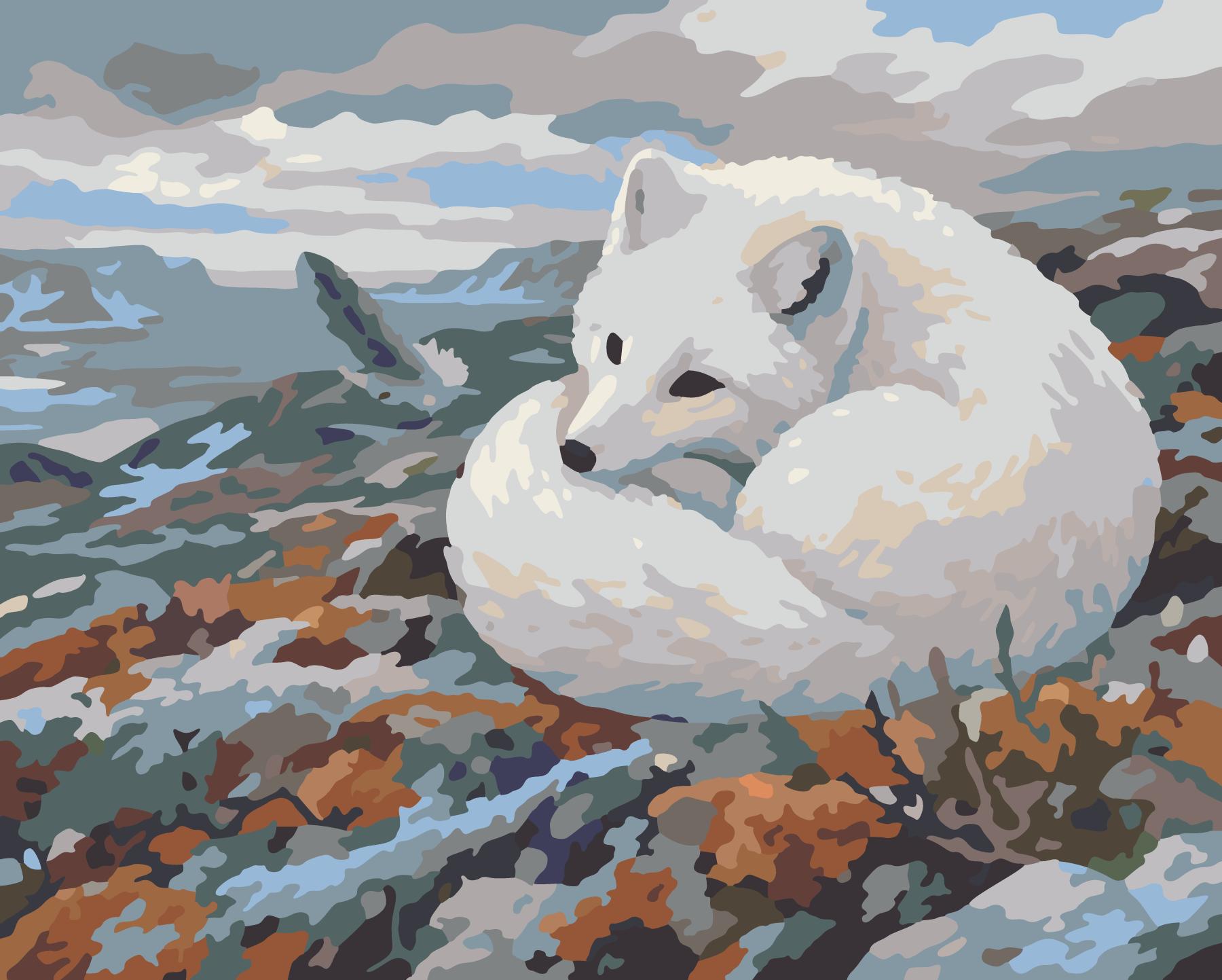 Arctic Fox Resting On Frosted Tundra Rocks paint by number design