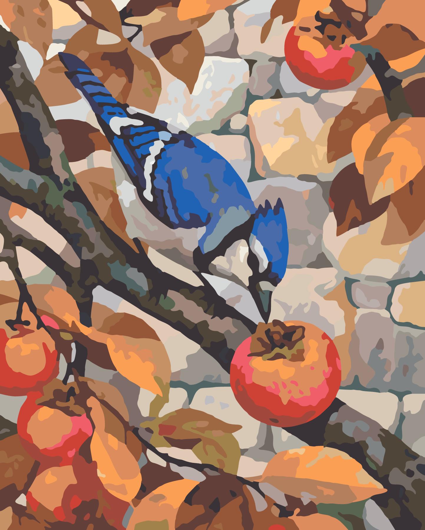 Blue Jay Perched Beside Ripe Persimmons paint by number design