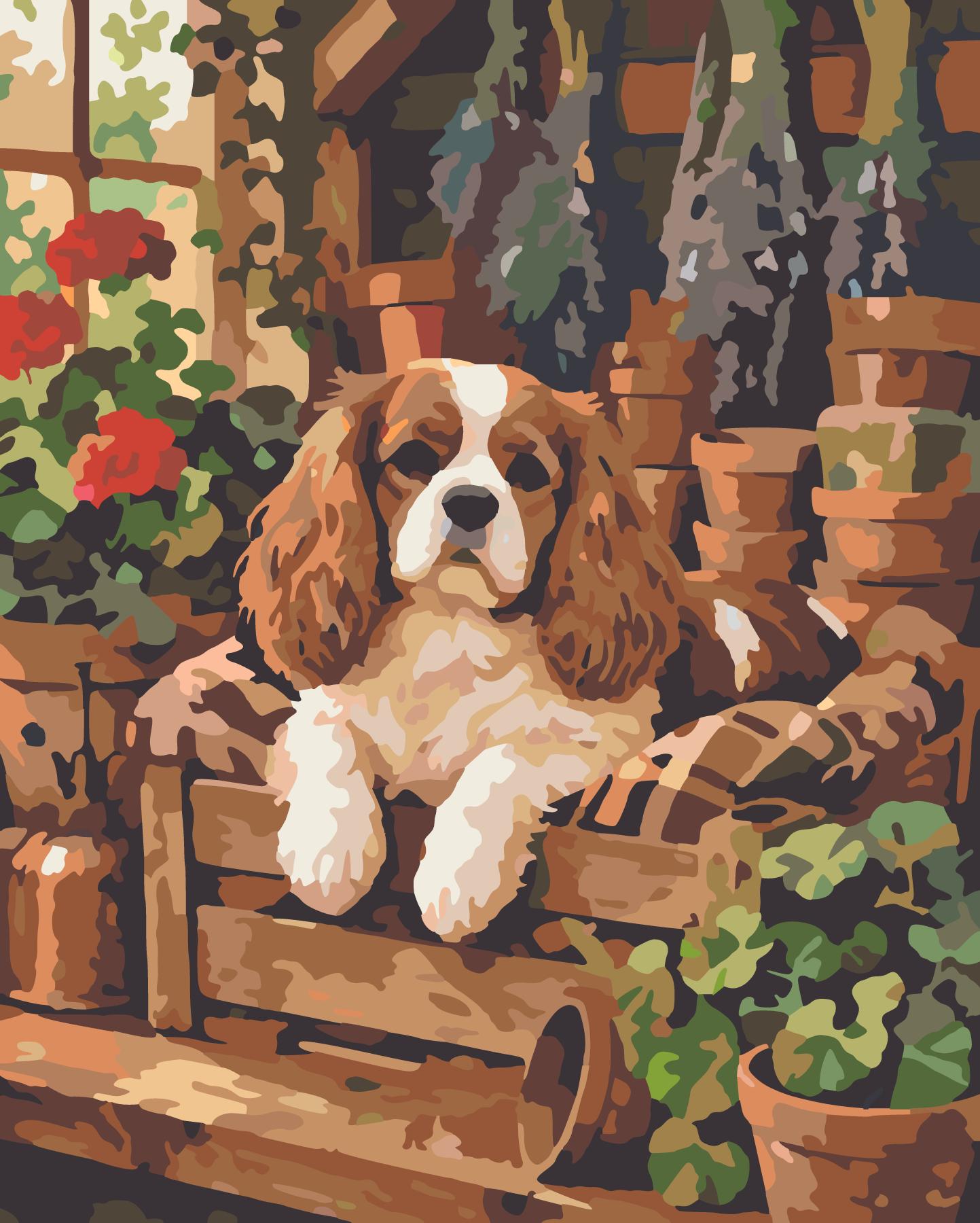 Cavalier Spaniel Resting In Garden Potting Bench Crate paint by number design