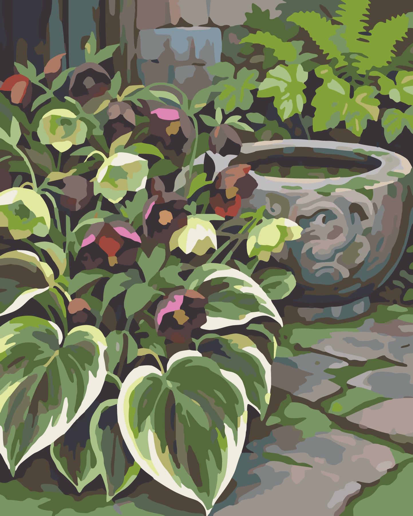 Flowering Hellebores And Variegated Hostas Along Shaded Basin paint by number design