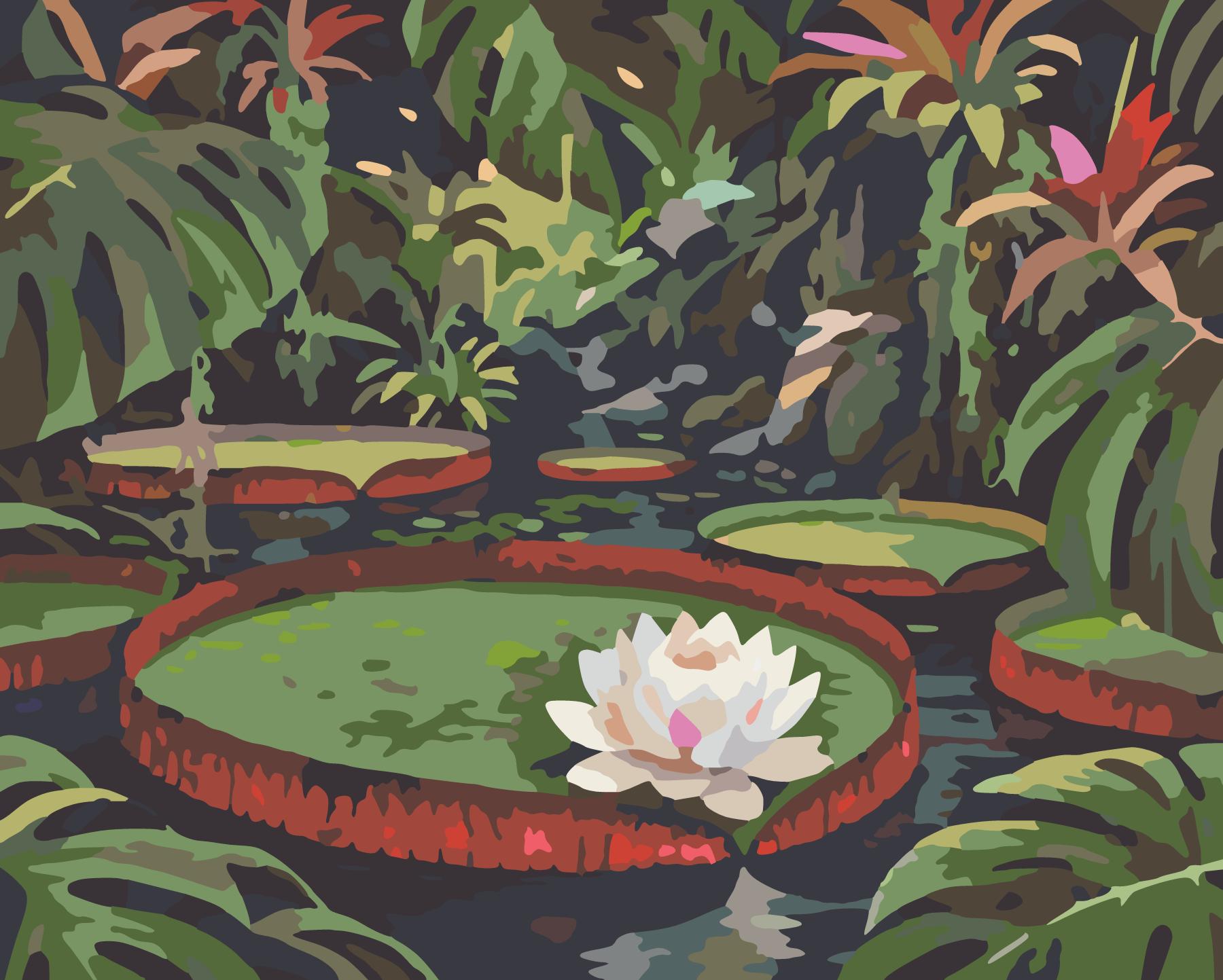 Giant Amazon Water Lilies In Shaded Lagoon paint by number design