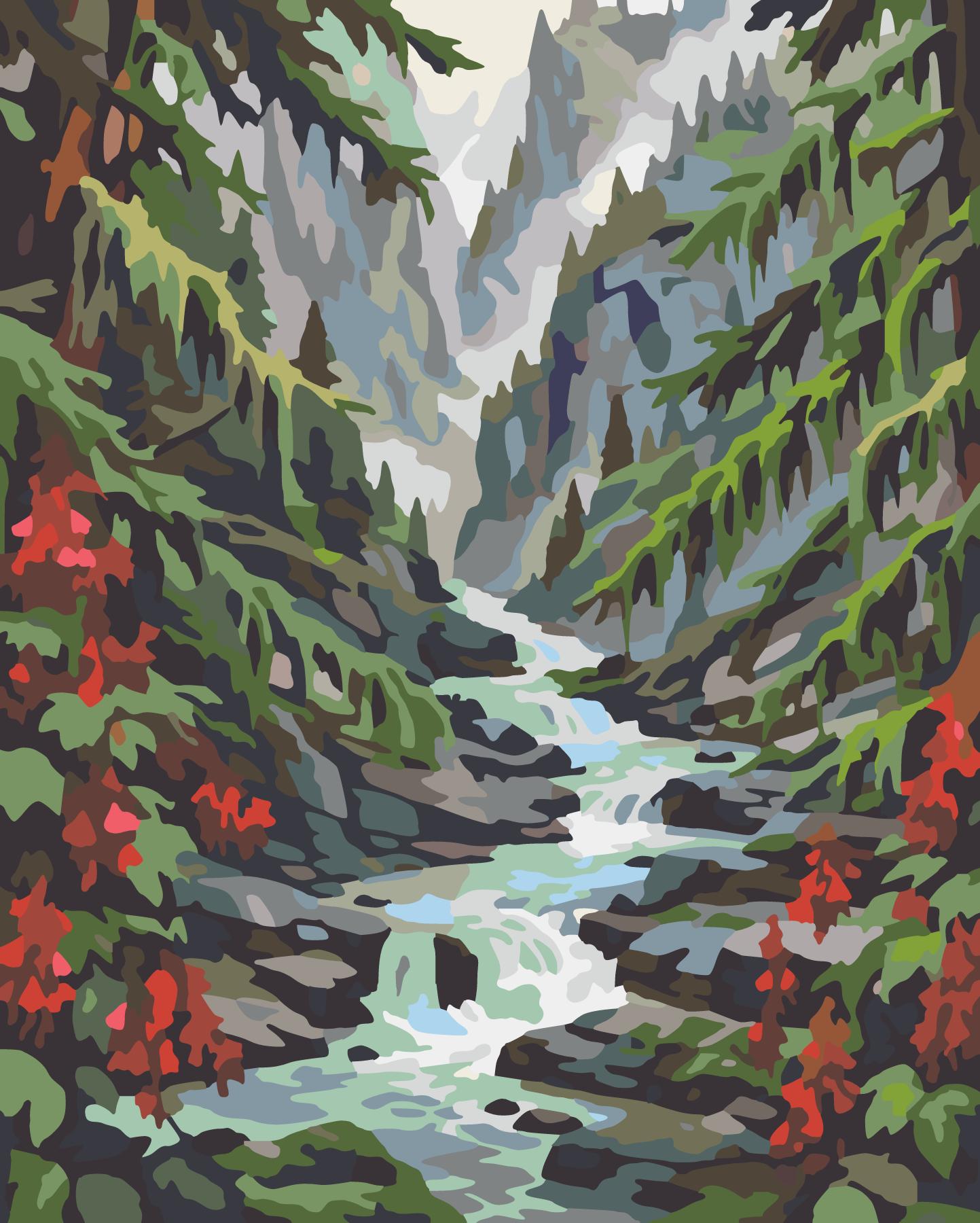 Glacial River Gorge Framed By Mossy Redcedars paint by number design