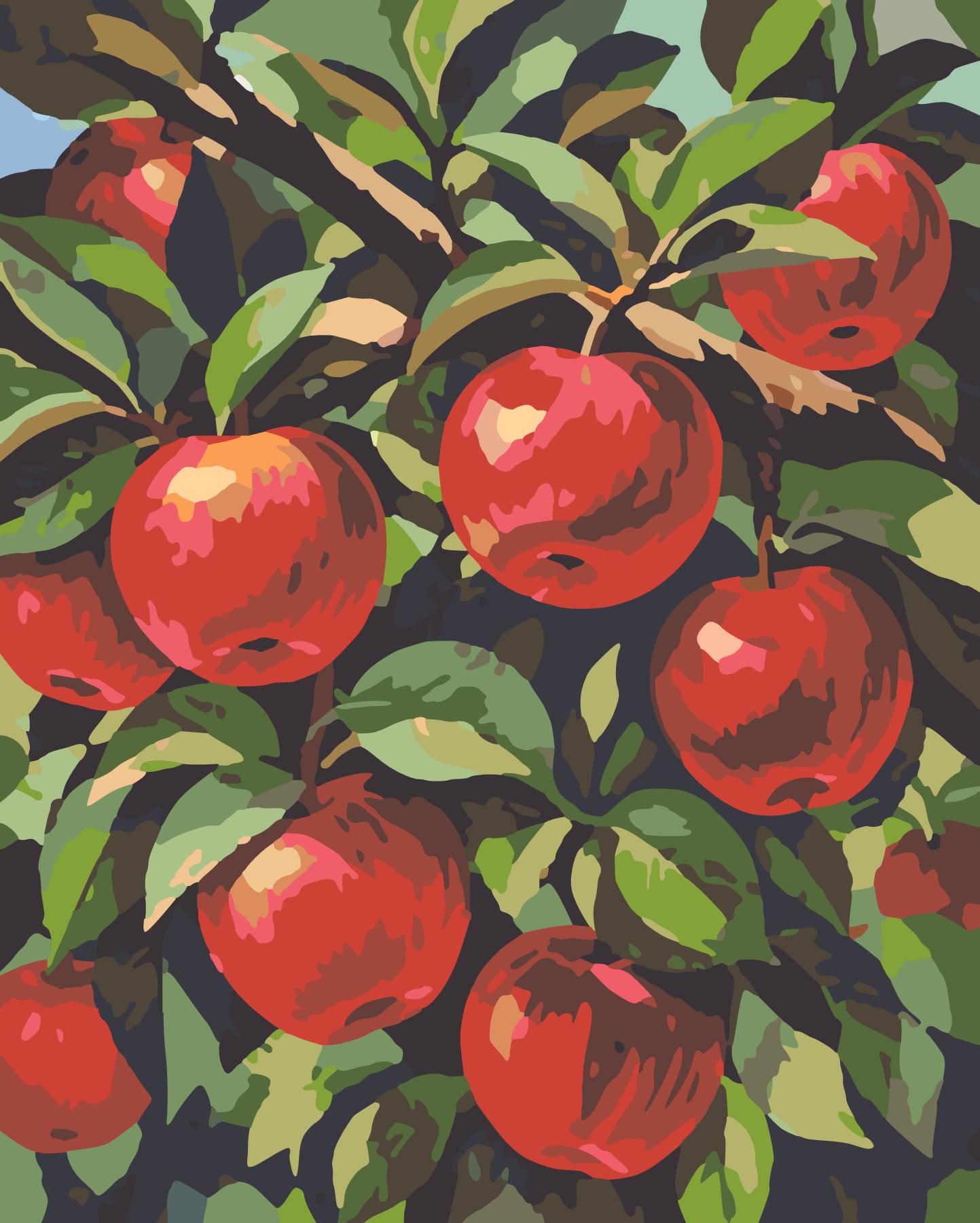 Red Apples On Branch paint by number design