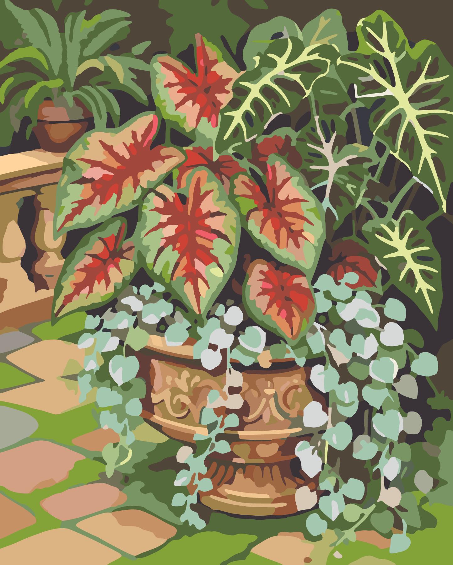 Speckled Caladium Leaves And Trailing Dichondra Urn paint by number design