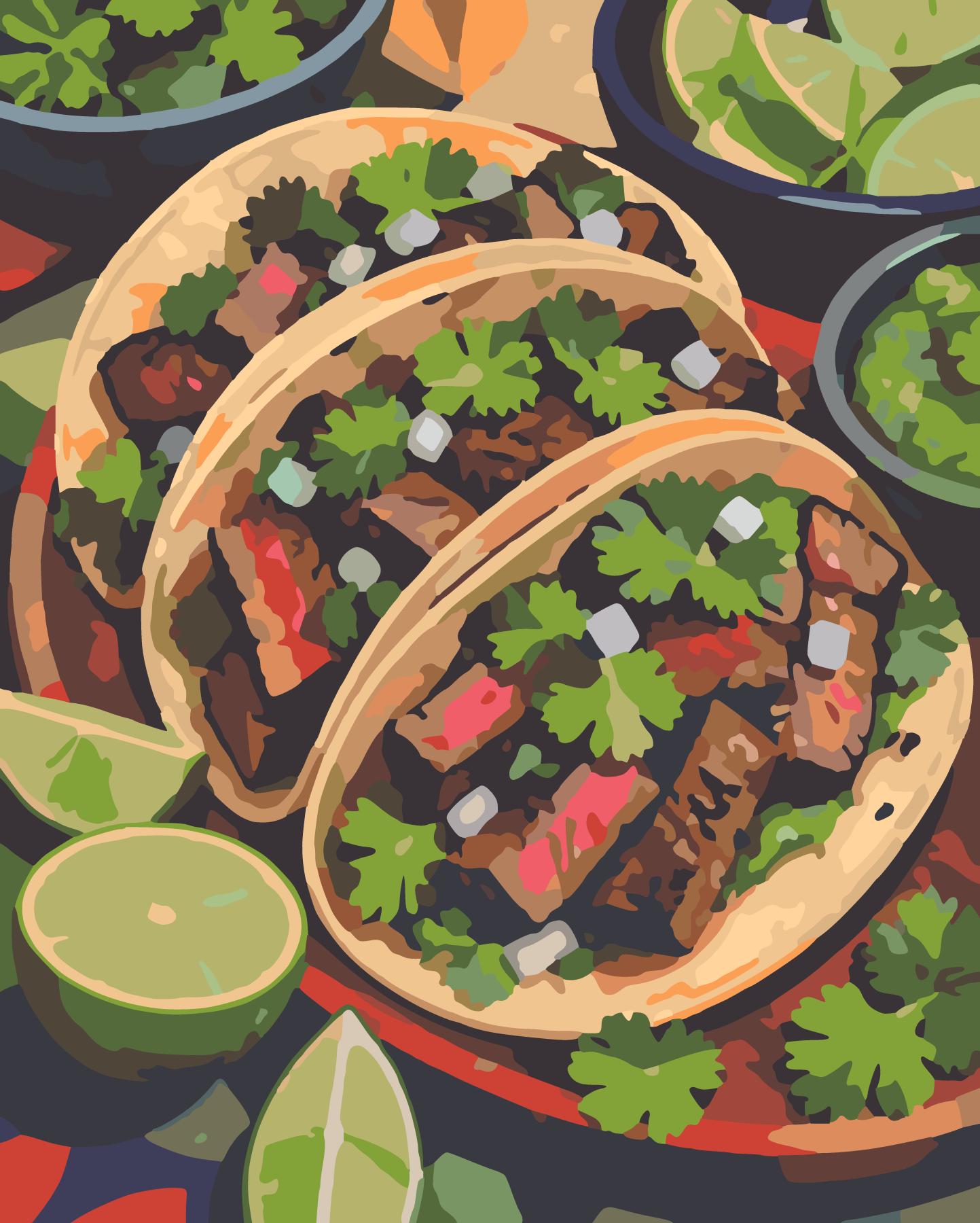 Steak Tacos With Fresh Lime paint by number design