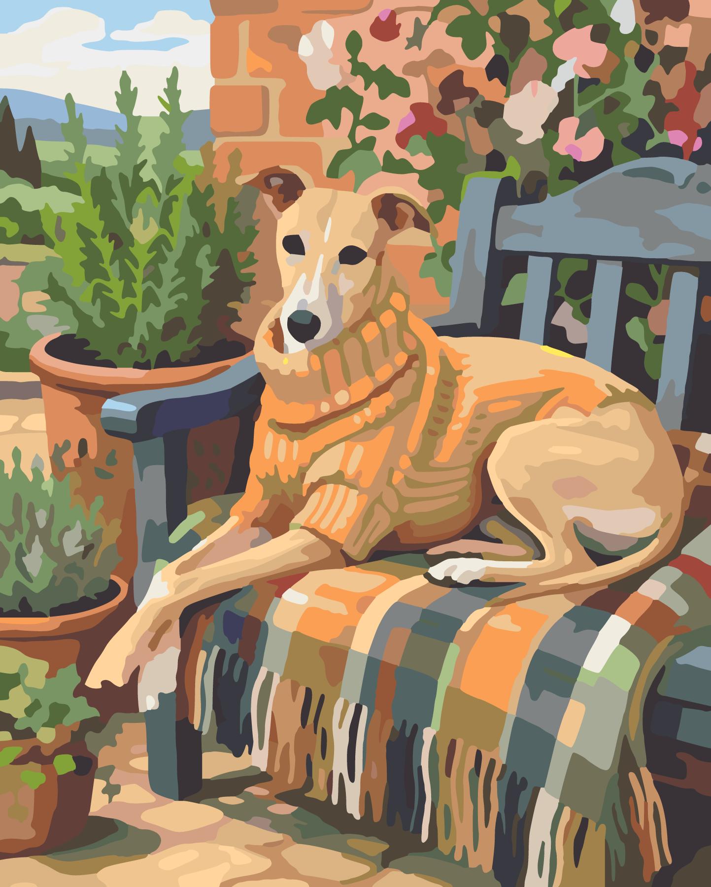 Whippet In Wool Sweater On Sunlit Garden Bench paint by number design