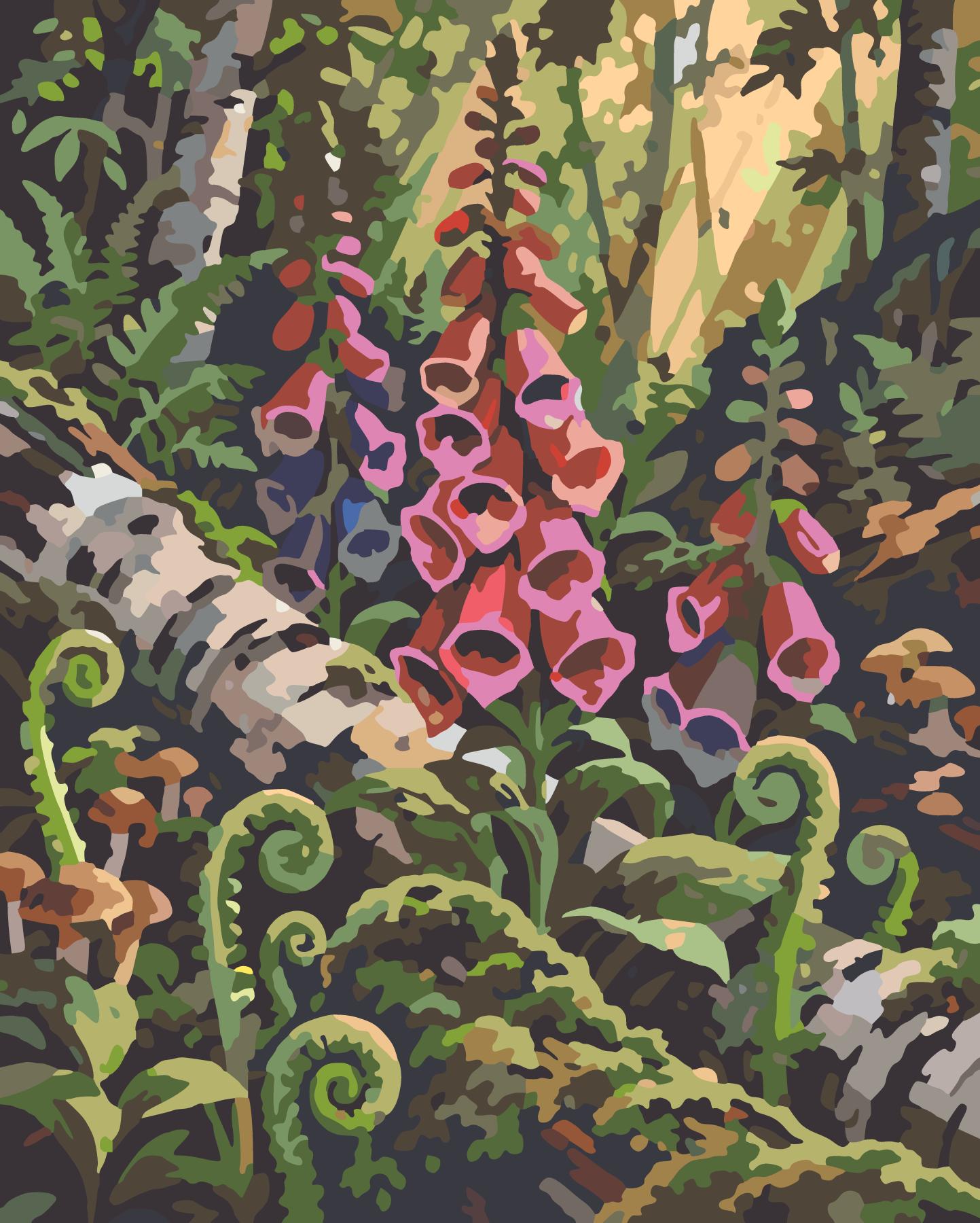 Wild Foxglove And Fern Woodland Floor paint by number design