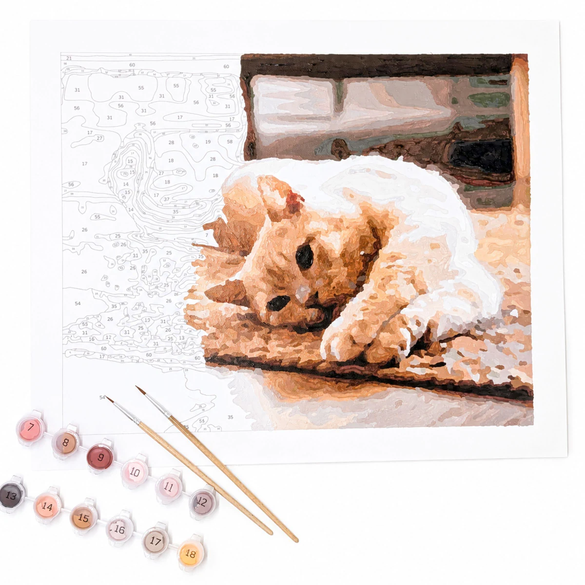 Complete custom paint-by-number kit showing a cat canvas, numbered paints, and brushes