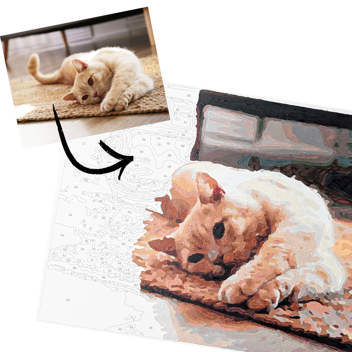 A cat photo becoming a partly painted custom paint-by-number canvas