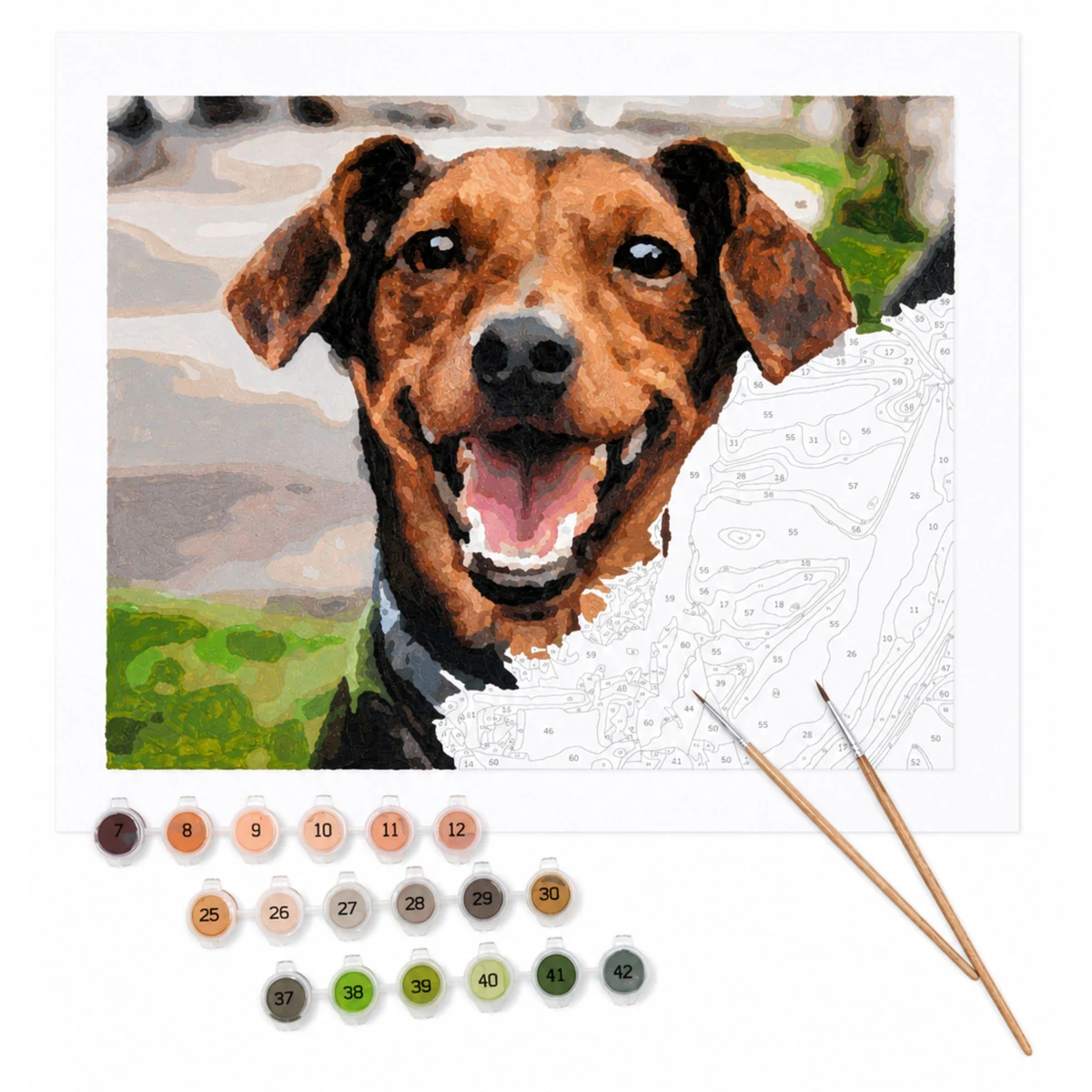Complete custom paint-by-number kit showing a smiling dog canvas, numbered paints, and brushes