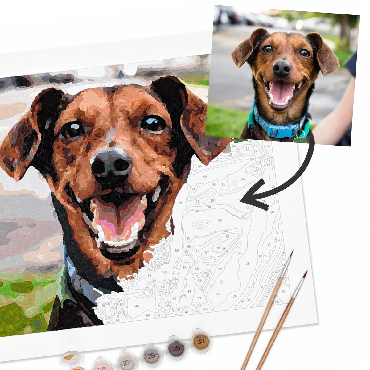 A dog photo becoming a partly painted custom paint-by-number canvas