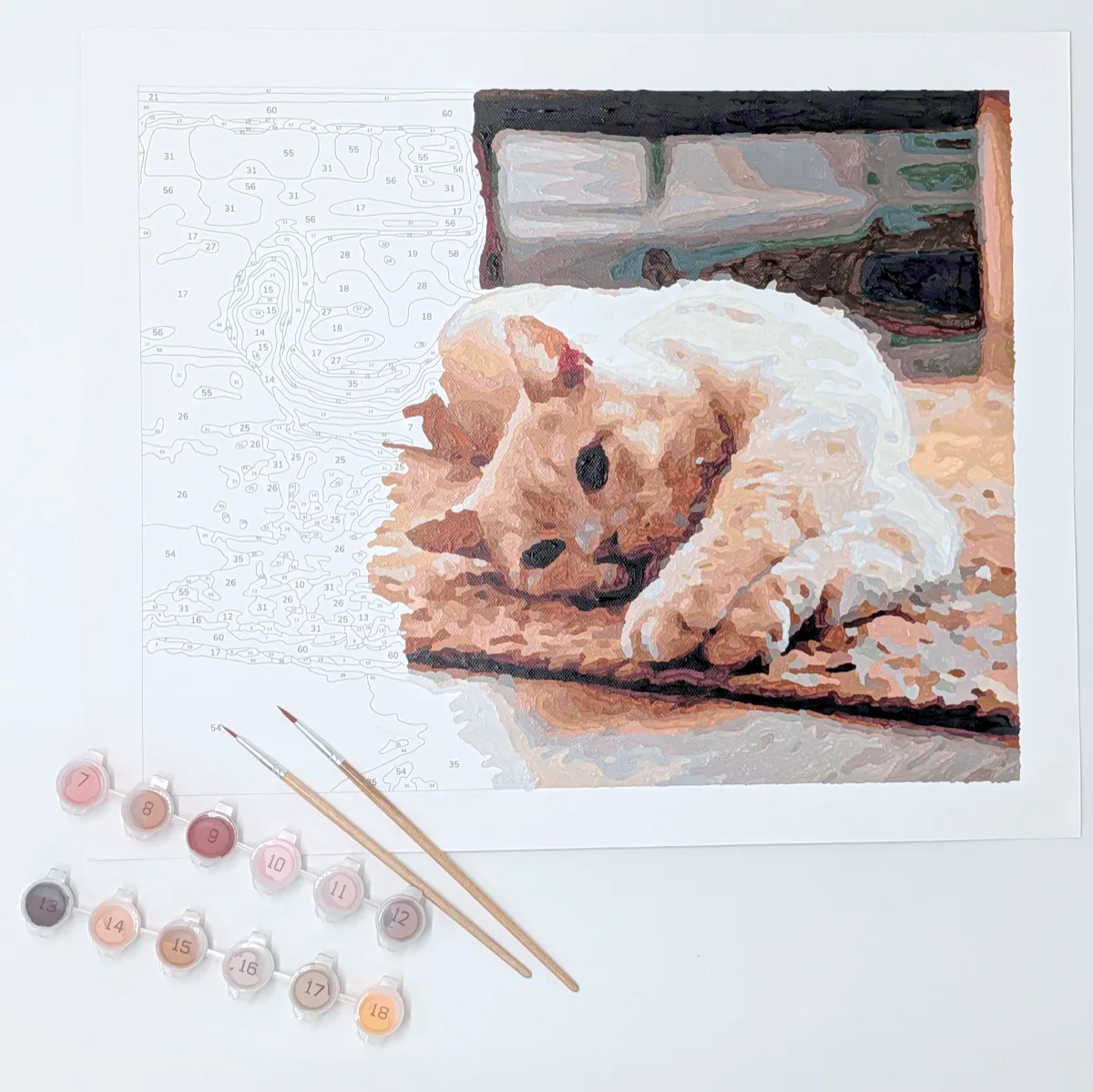 Pet photo turned into a paint-by-number kit